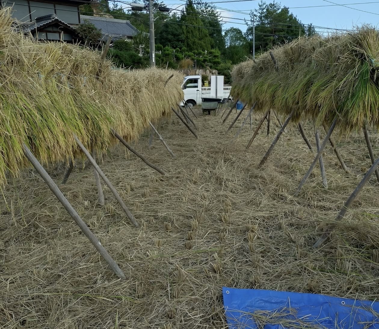 6B074DF7-0F99-49FD-B45B-4DDB82E8A2EB